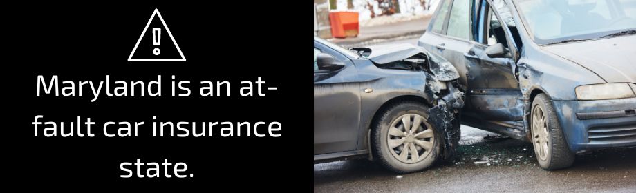  automobile insurance